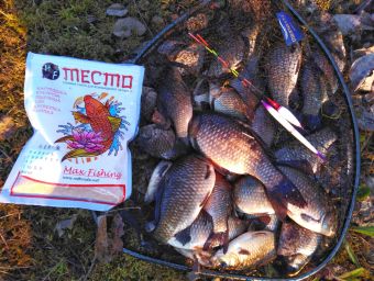 20200523_Караси