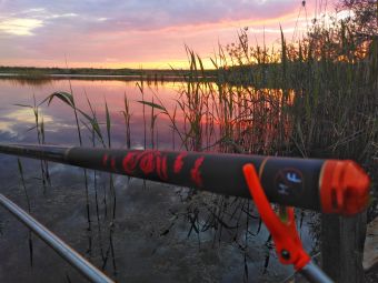 IMG 20200603 215636 01