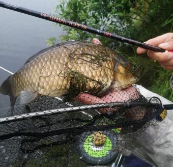 6a16915e 9765 4536 bce0 550f47d9e9ba