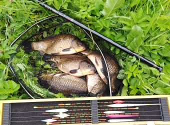 IMG 20200708 091831 resized 20200708 025915813