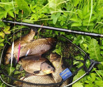 IMG 20200708 091922 resized 20200708 025923143