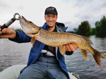 Карелия 2020 Щука 350 грамм