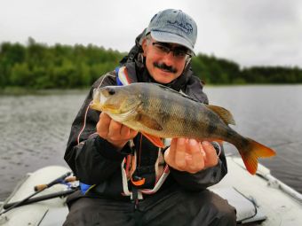 Карелия 2020 окунек 500