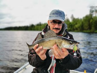 Карелия 2020 Судак на кило