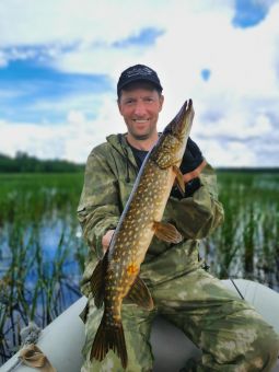 Карелия 2020 травянка