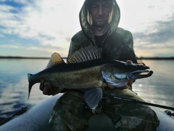 Карелия 2020 Жирный судак на EDGE 804