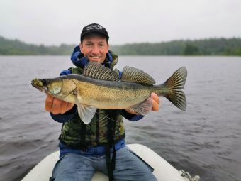 Карелия 2020 озерный монстр