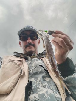 Карелия 2020 фигня