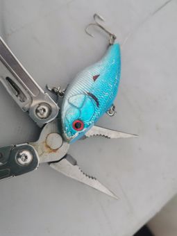 Карелия 2020 Ратлин ням-ням