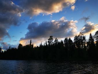 Карелия 2020 Черный лес, белый свет