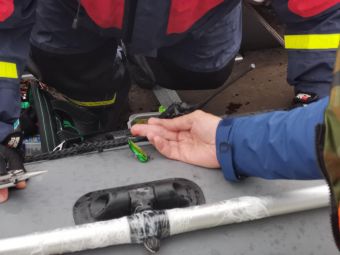 Карелия 2020 Операция по извлечению