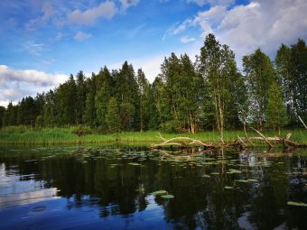 Карелия 2020 Жабовня