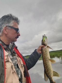 Карелия 2020 Травянка