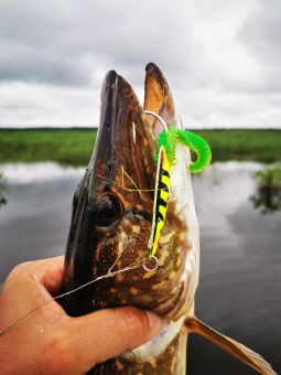 Карелия 2020 на колебашку