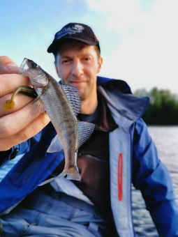 Карелия 2020 Поповцев и судак на треху