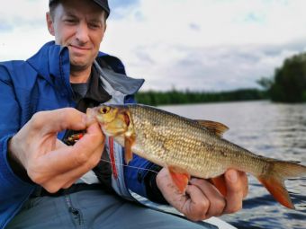 Карелия 2020 первый Йаазь