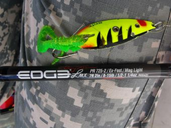 Карелия 2020 Карелия и EDGE 725