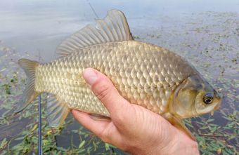 IMG 20200902 123315 01 resized 20200903 091927139