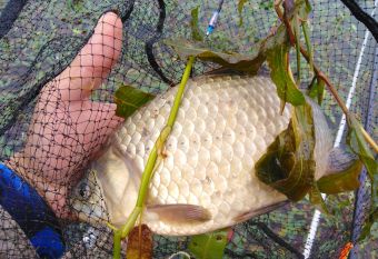 IMG 20200902 111232 01 resized 20200903 091914312