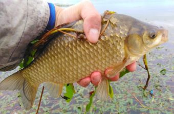 IMG 20200902 114555 01 resized 20200903 091913043