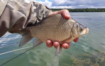 IMG be00d457c790878fb12132ce7e44f326 V