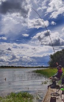 IMG 284e5f1d0eb1aabe5e8cba0770777c27 V