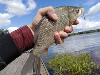 IMG 20200724 115908 resized 20200725 102712714