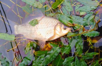 IMG 20200902 125848 01 resized 20200903 091924870