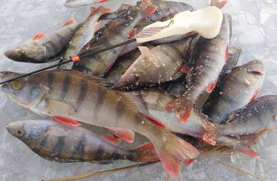 IMG 20201212 151141 01