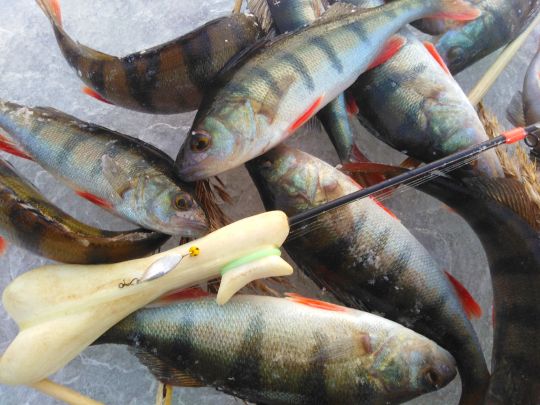 IMG 20201212 103226 01