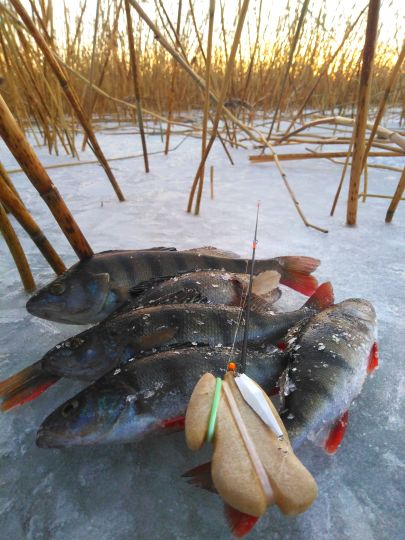 IMG 20201212 151230 01