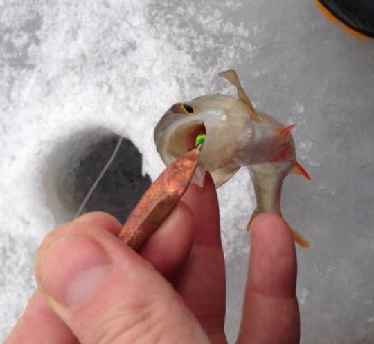 photo 2021 01 04 17 28 14