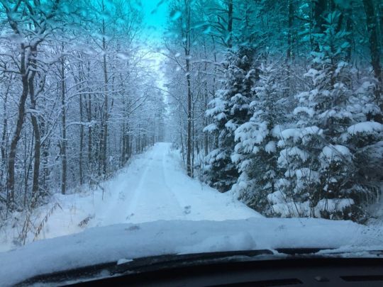 photo 2021 01 11 12 52 12