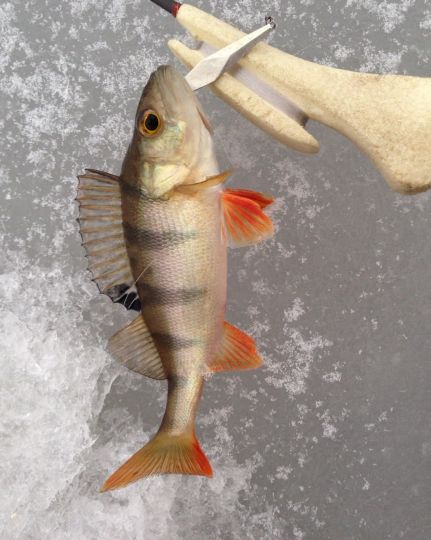 photo 2021 01 04 17 28 53