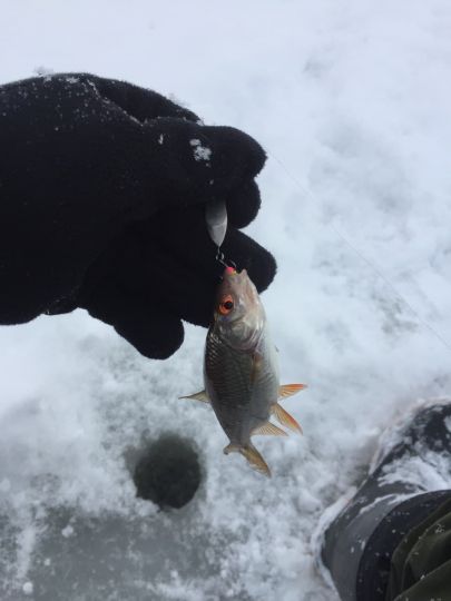 photo 2021 01 11 13 33 11