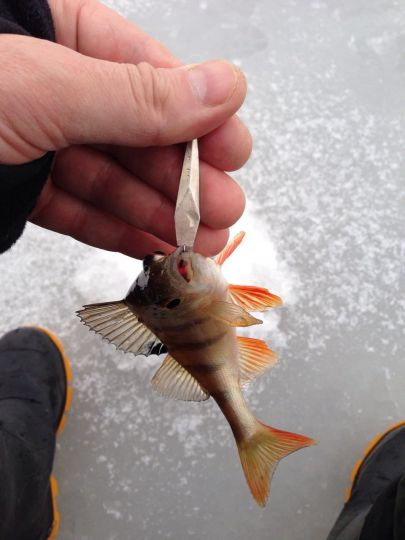 photo 2021 01 04 17 28 28