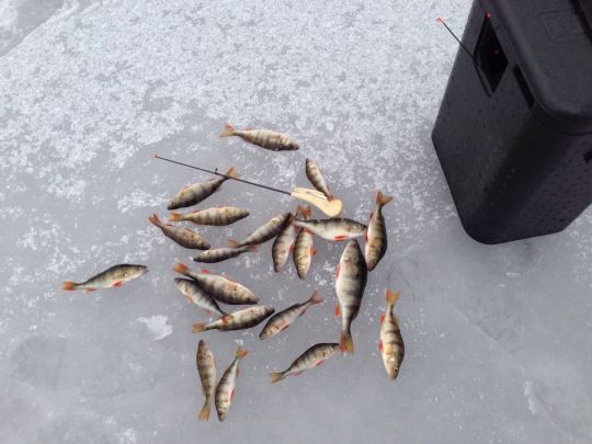 photo 2021 01 04 17 28 58