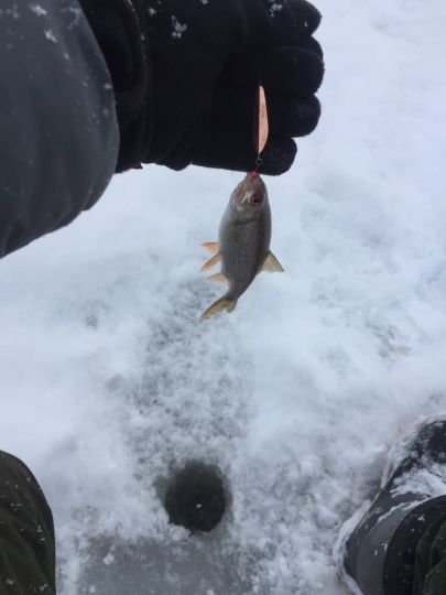 photo 2021 01 11 13 33 14