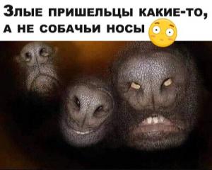 post-19202-0-86781500-1589305112_thumb.jpeg