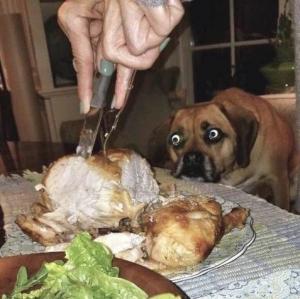 post-19202-0-12002100-1536135998_thumb.jpeg