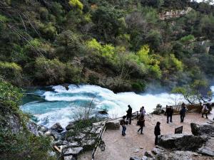 IMG_20191212_155923 (1).jpg