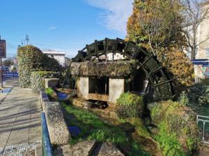 IMG_20191212_123409 (1).jpg