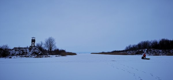 Вся рыба там