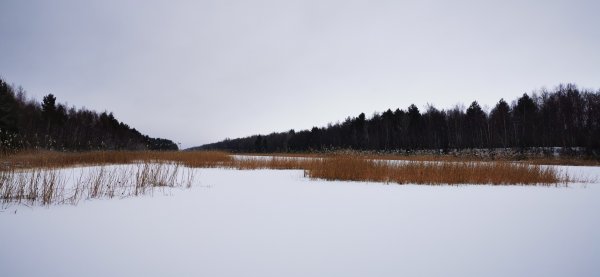 Тут рыбы нет