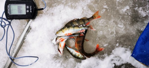 Микропятна и мало