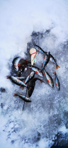 В целом - унуние