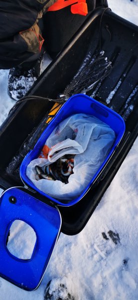 Пора и взесить