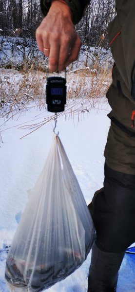 Пора и взесить