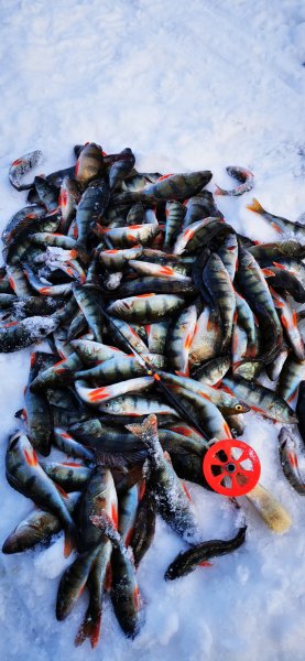 Набор мелочи, все в лунку домой