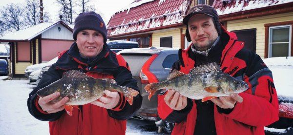 Ладожские монстры